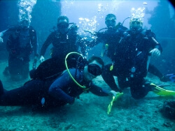 Scuba divers underwater