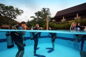 Scuba divers in pool getting ready for review